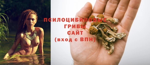 apvp Алексин