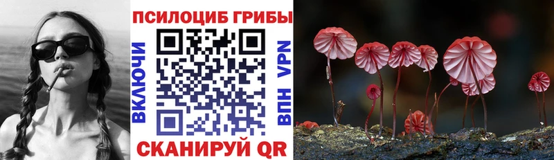 Галлюциногенные грибы мухоморы  где найти наркотики  Архангельск 